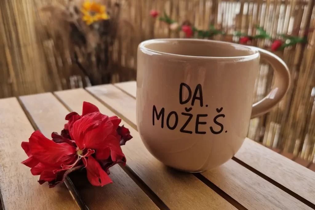 Karijera i izazovi zena u Srbiji - slika cveta i solje sa natpisom: da. mozes.